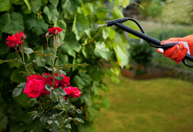 17 years of quality focus, cast industry experts 17 years of quality focus, cast industry experts